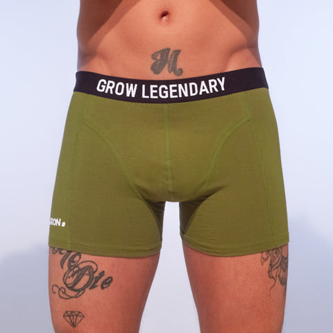 Plagron boxer short green